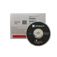 Win 11 Pro 64-Bit OEM DVD